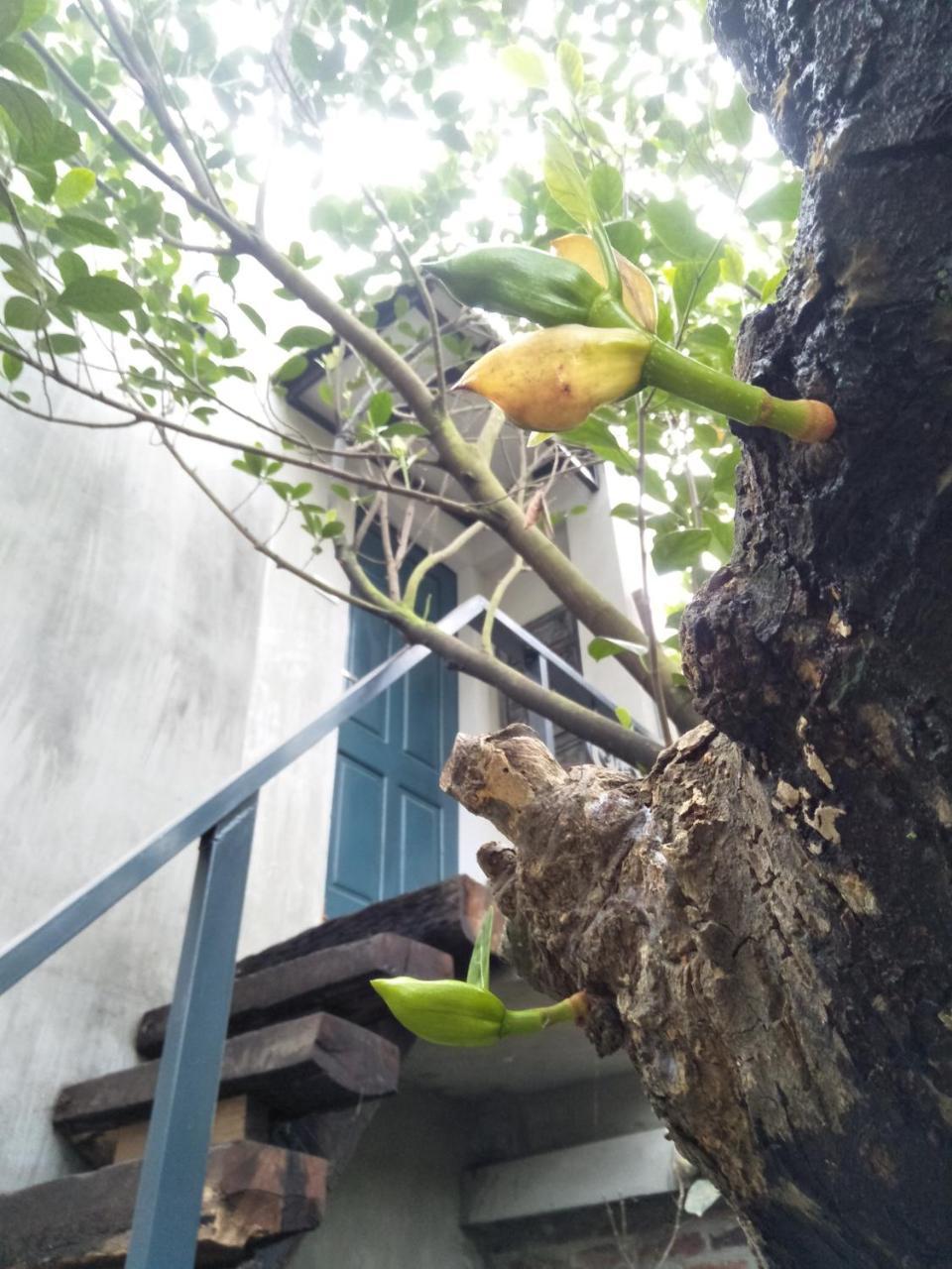 Polygon Art And Homestay Hanoi Eksteriør bilde