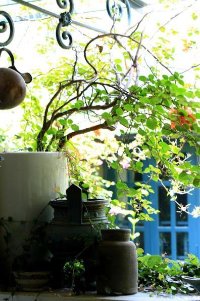 Polygon Art And Homestay Hanoi Eksteriør bilde